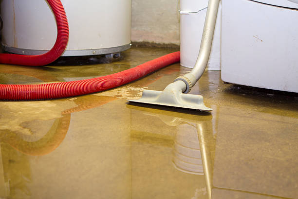 Best Water damage cleanup near me  in Suncoast Estates, FL