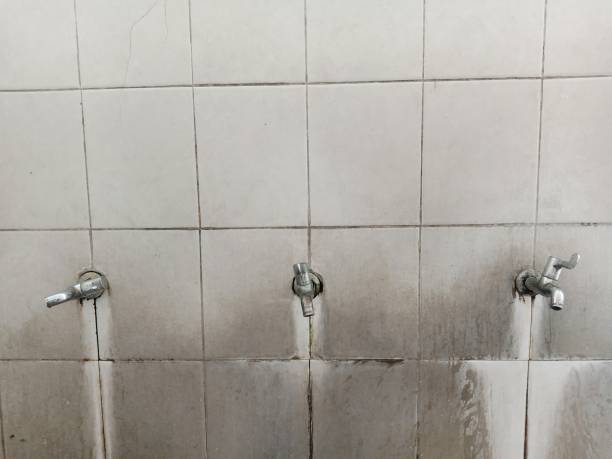 Carpet water damage restoration in Suncoast Estates, FL