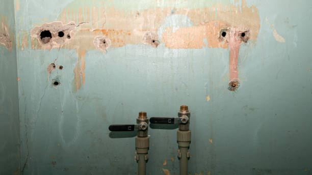 24/7 water damage repair in Suncoast Estates, FL