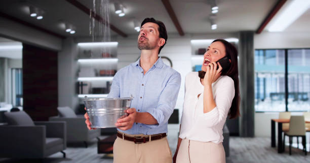 Best Water damage contractors near me  in Suncoast Estates, FL