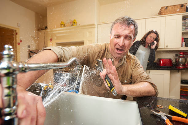 Water damage restoration mold remediation in Suncoast Estates, FL